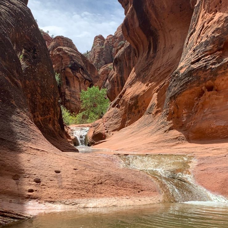 small waterfall in Red Cliffs Desert Reserve