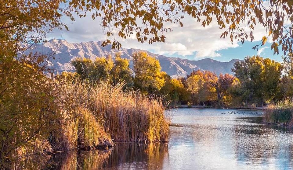 This Hidden Las Vegas Ranch 20 Miles From The Strip Was Once America’s Quick Divorce Capital