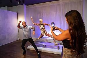 Renderings of the Interstellar Arc experience