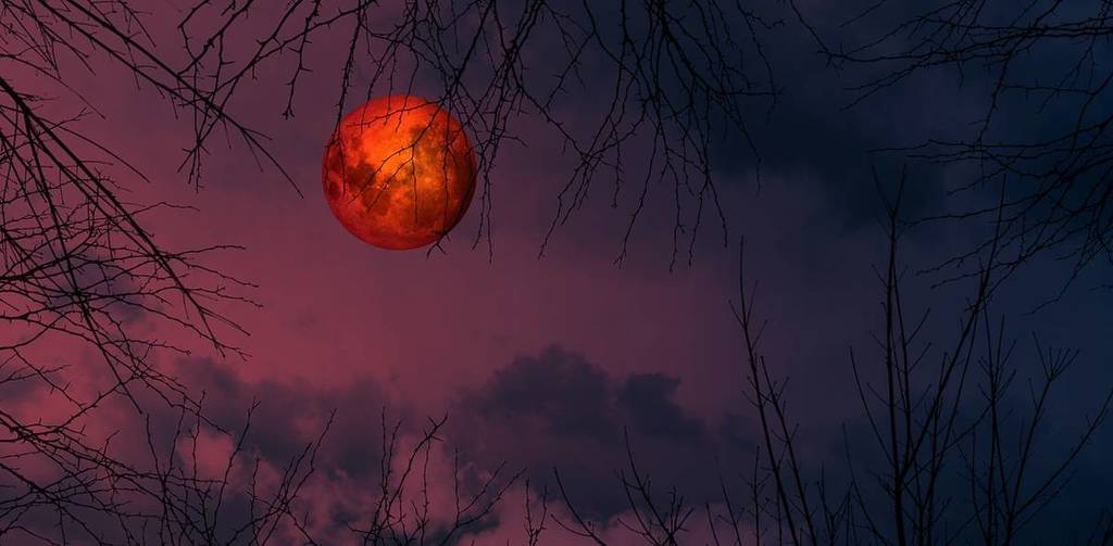 Blood Moon seen through tree branches