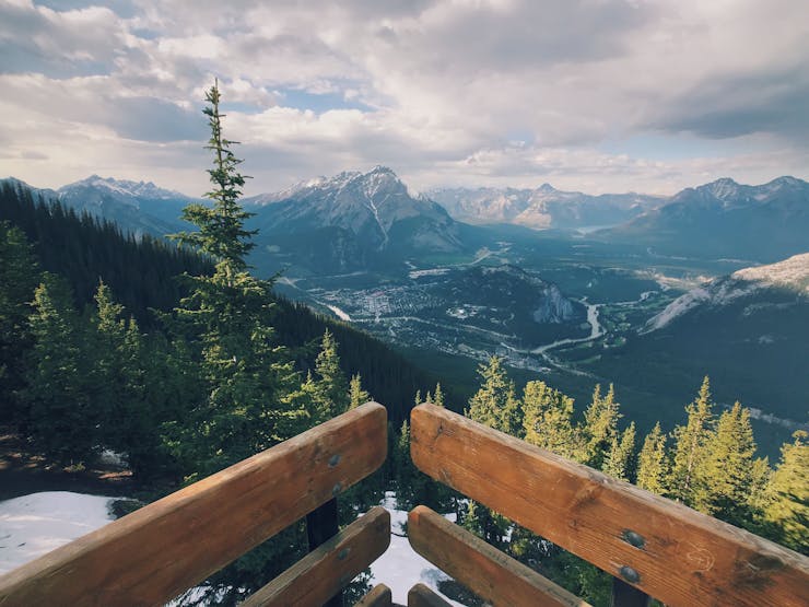 trees and water scenery in Canada