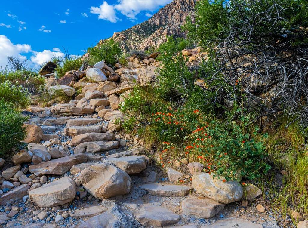 Ice Box Canyon in Vegas Nevada