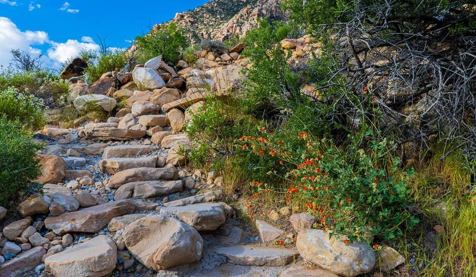 The “Secret” Waterfall Just 30 Minutes From The Strip Is Flowing Right Now — And It Will Completely Disappear By Summer