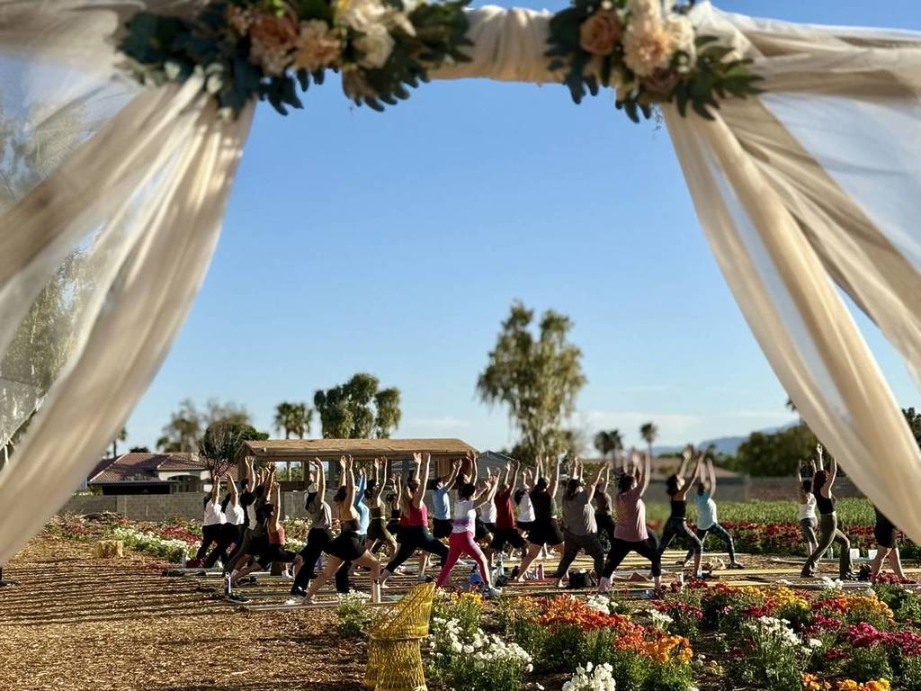 yoga at the Gilcrease Orchard