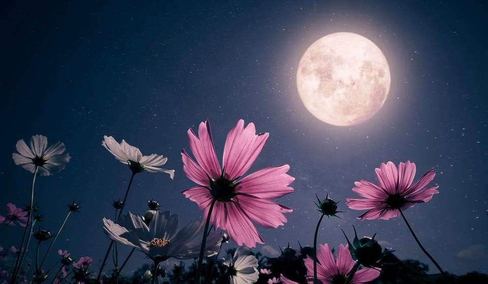 The First Major Celestial Event Of Spring Is Officially Here — Exactly When And Where To See The ‘Pink Moon’ In Las Vegas