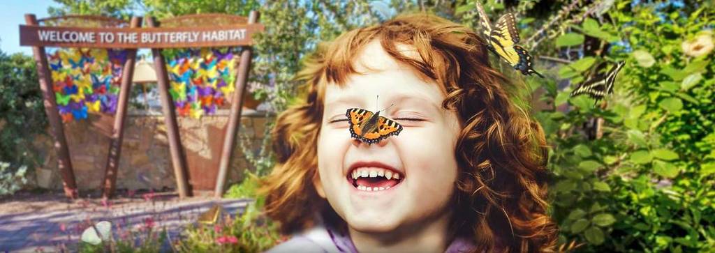 child with butterfly on their nose