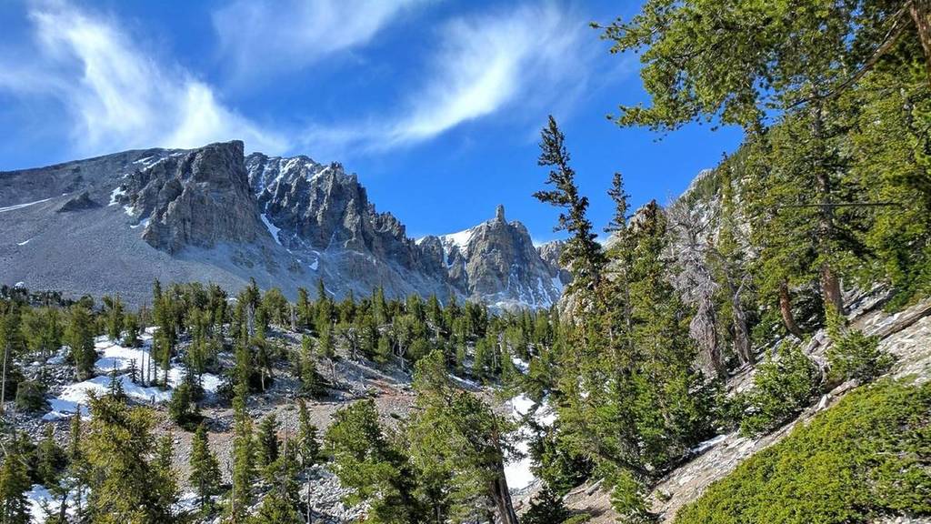 Green trees sit on a slope with sharp, cragged rock cliffs beyond, forming a wall. The Glacier Trail provides views of the last glacier in Nevada and the ancient Bristlecone Pines