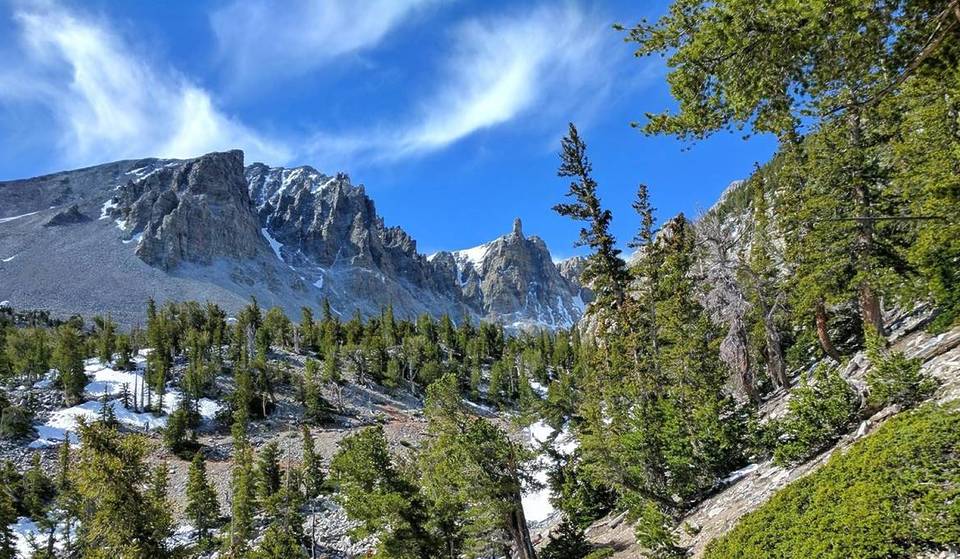 This Nevada Trail Just Made Nat Geo’s ‘100 Hikes Of A Lifetime’—Thanks To 4,900-Year-Old Trees And Nevada’s Last Surviving Glacier