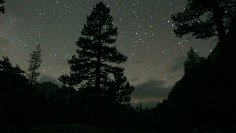 excursión nocturna