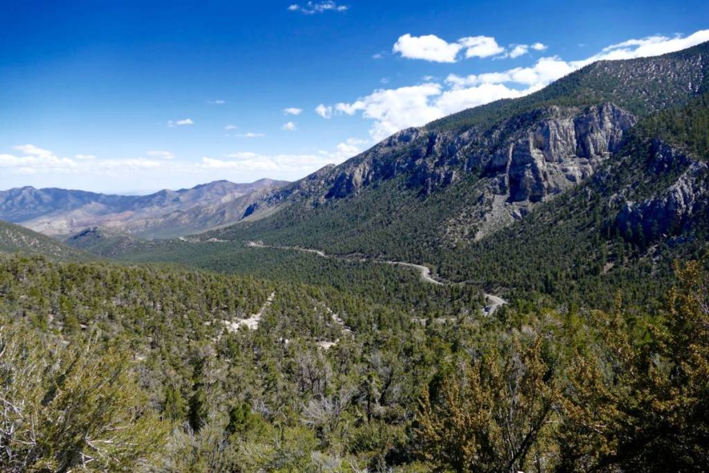 Mt. Charleston Vegas