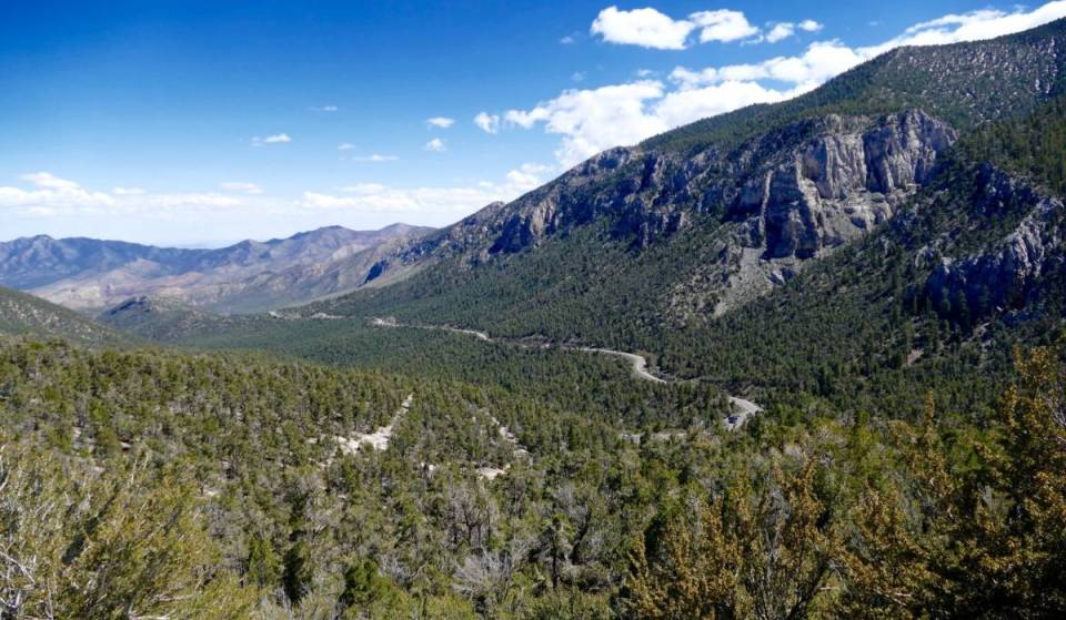 Mt. Charleston is returning to its former glory after historic storm damage, bringing back shaded aspen paths and an unbelievable 30-degree cool-down