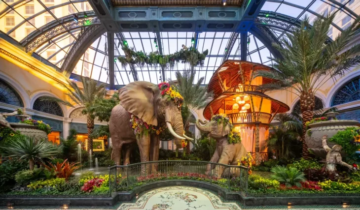 Bellagio Conservatory’s stunning summer 2026 display is a true paradise