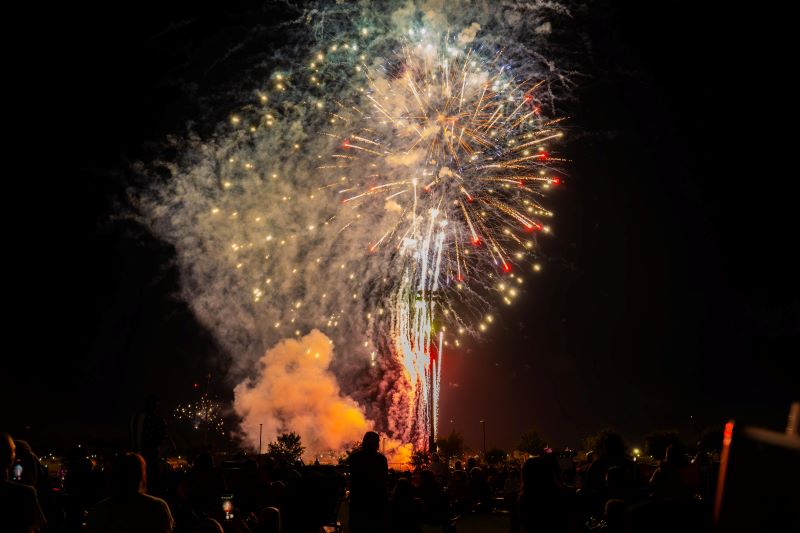 fuegos artificiales en un parque