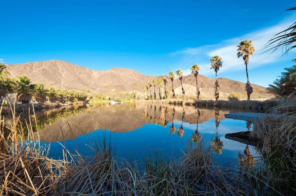 Tras 30 años funcionando como un falso spa médico, este complejo en el desierto es ahora un oasis de vida silvestre en pleno funcionamiento, y está abierto al público para que lo explores