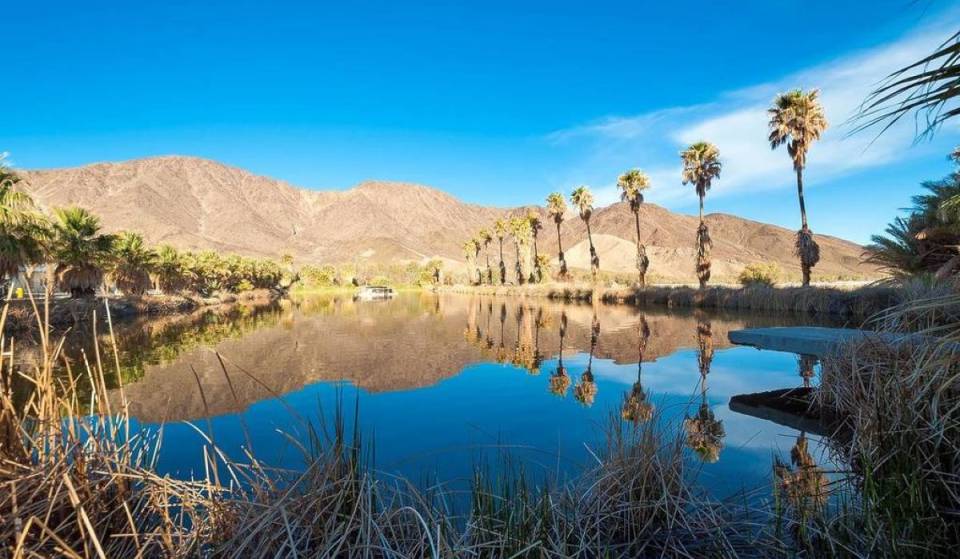 After a 30-year run as a fake medical spa, this desert compound is now an active wildlife oasis, and it’s open to explore