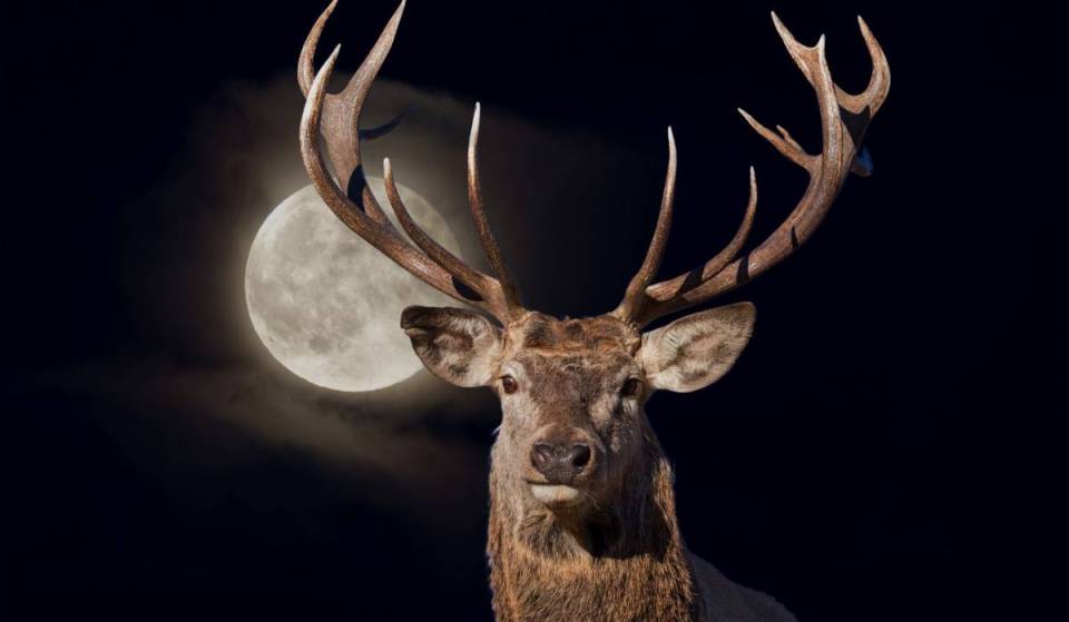 Best spots to see July’s full Buck Moon in Las Vegas
