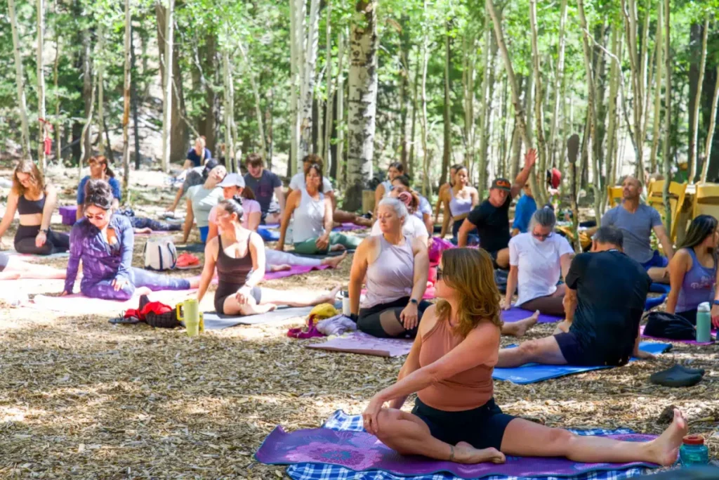 people doing yoga in a forest