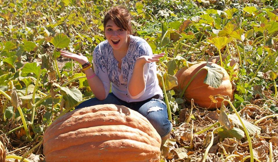 This historic 60-acre desert sanctuary in Vegas is opening its gates for an epic Fall Harvest, with a huge corn maze, a pumpkin patch, and apple cider donuts