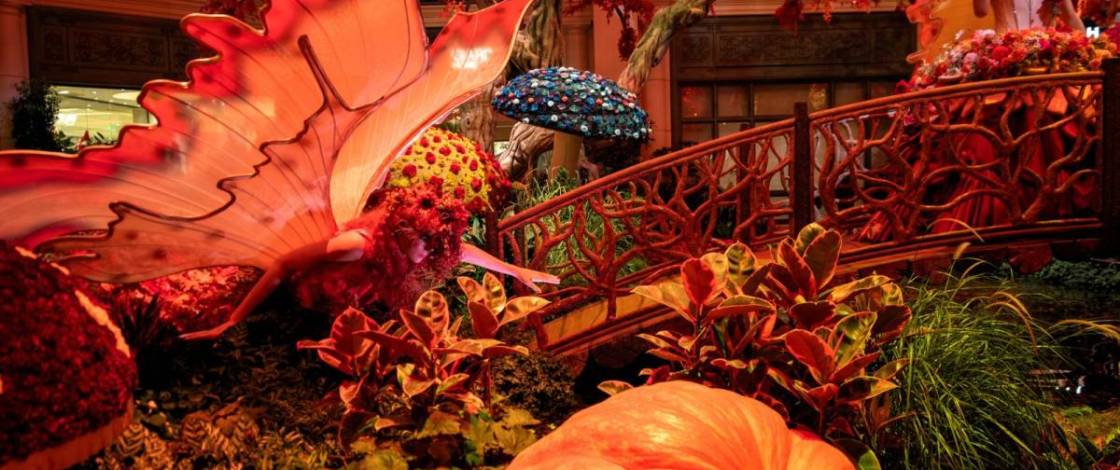 Más de 15 cosas maravillosas que hacer este octubre en Las Vegas