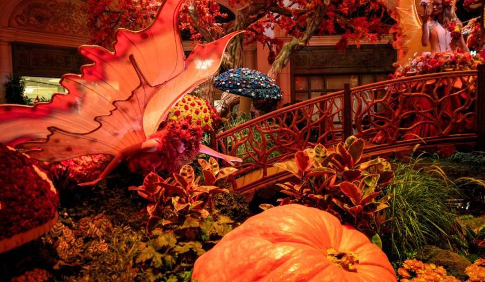 15+ wonderful things to do this October in Las Vegas