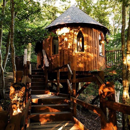20 Treehouses For Holidays Near London [2019 Guide]