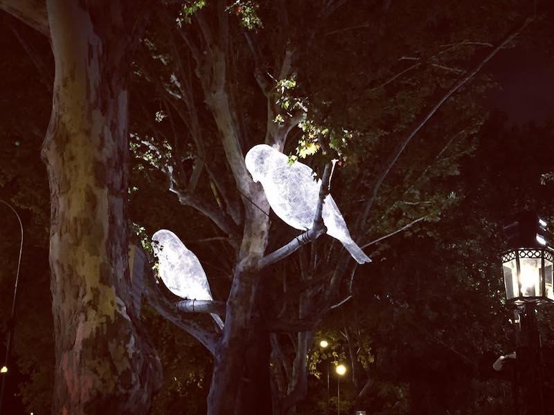 Lumiere London, Was It A Dream