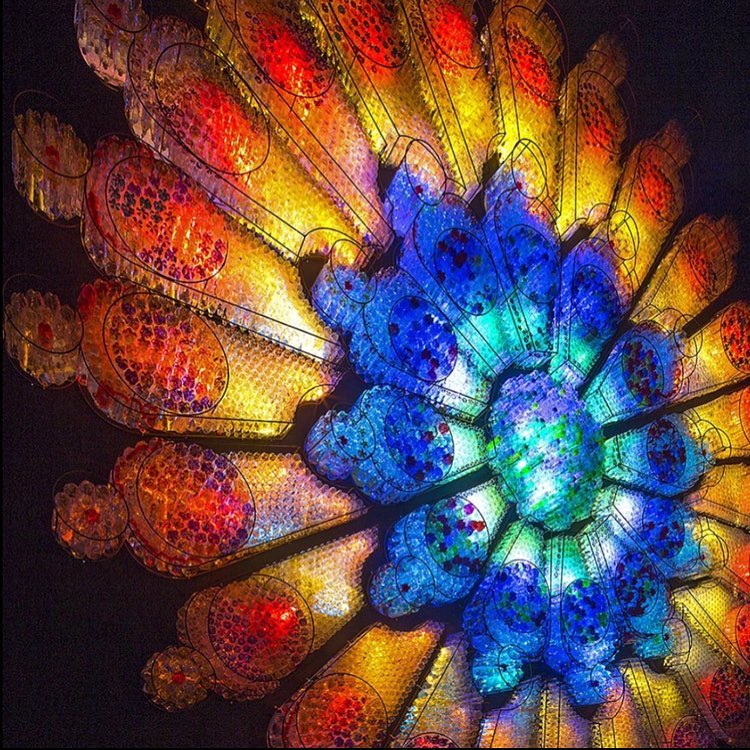 Lumiere London, The Rose