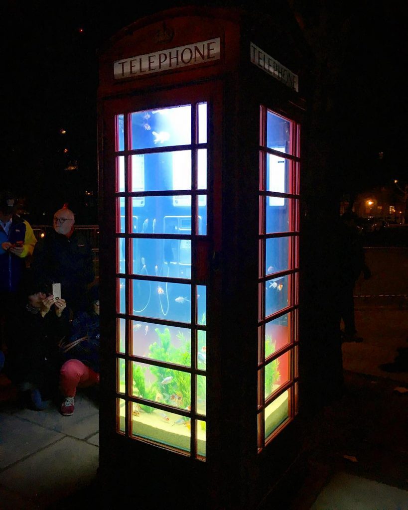 Lumiere London, Aquarium