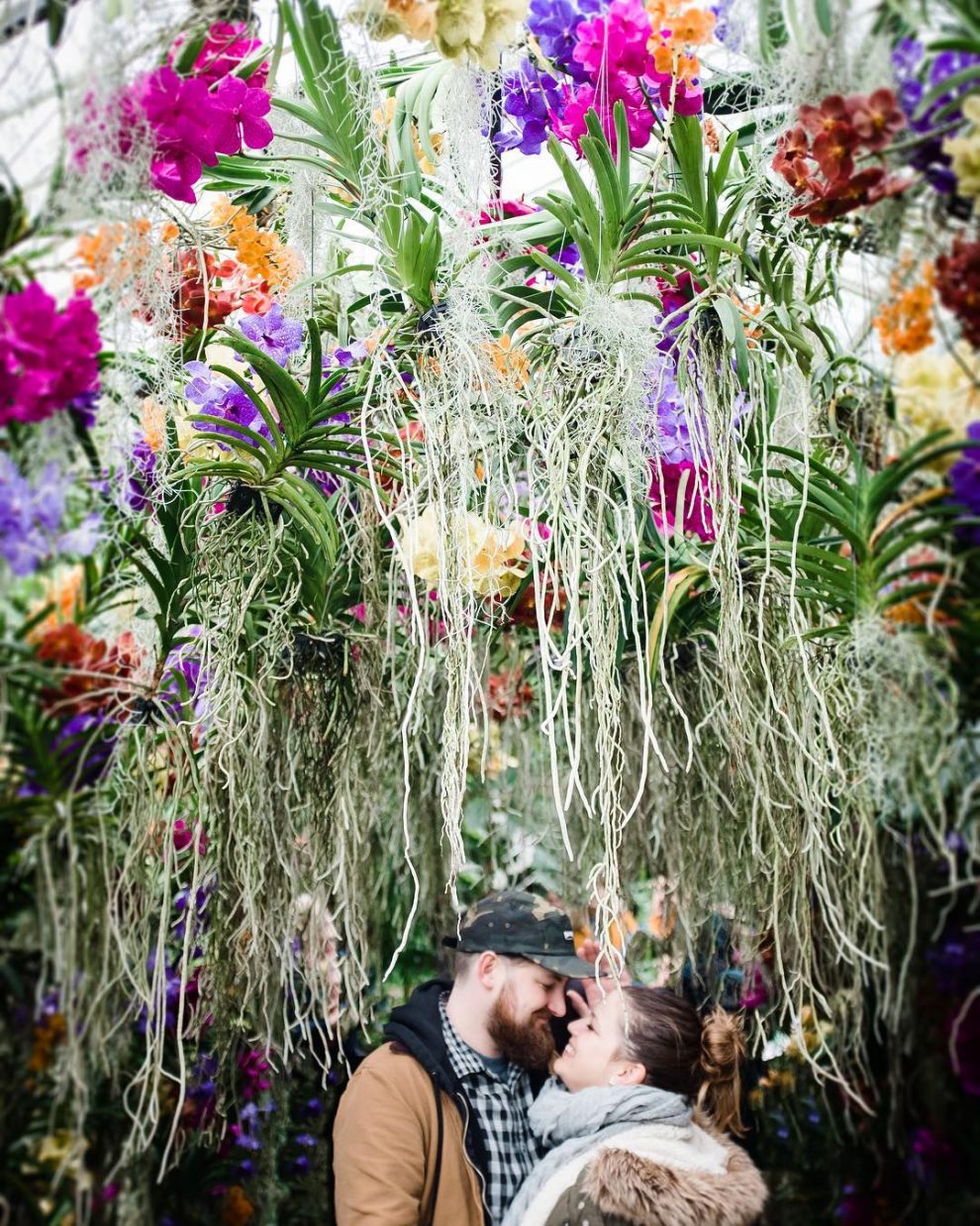 Just 14 Pictures Of The Kew Gardens Orchids Festival Looking On Point