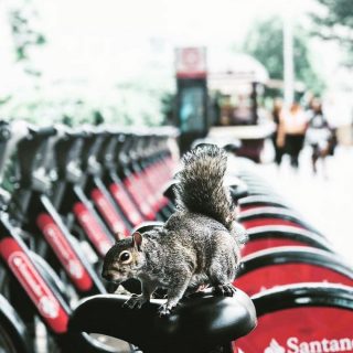 santander bikes near hyde park