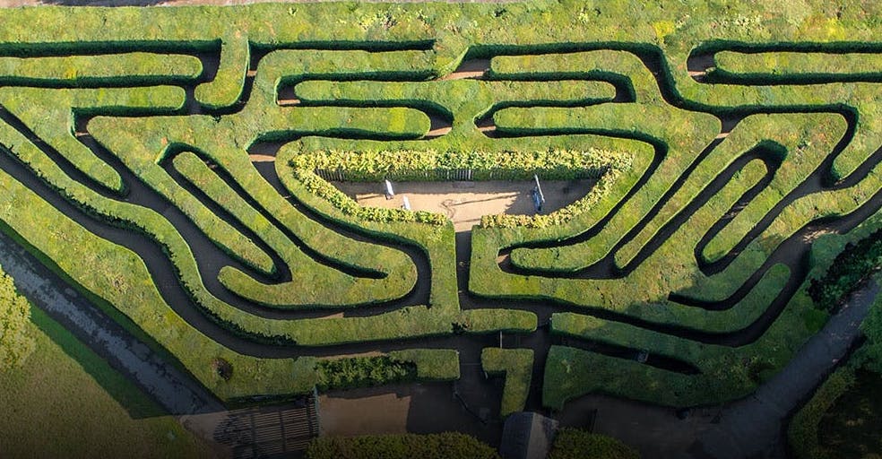 Hampton Court Palace The Maze What To See And Tips For Visitors In 2019 Hampton Court Palace The Maze What To See And Tips For Visitors In 2019