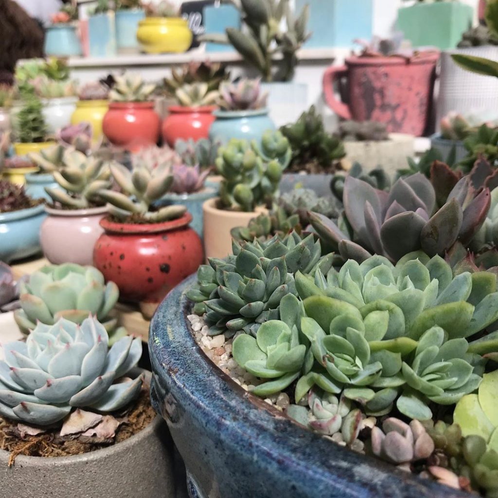 Houseplant Lovers In London Are In For A Treat This Weekend