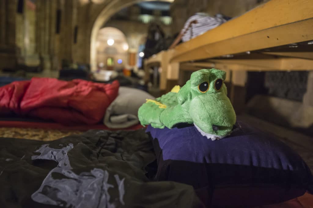 a dinosaur stuffed animal atop a pillow at a dino snores session