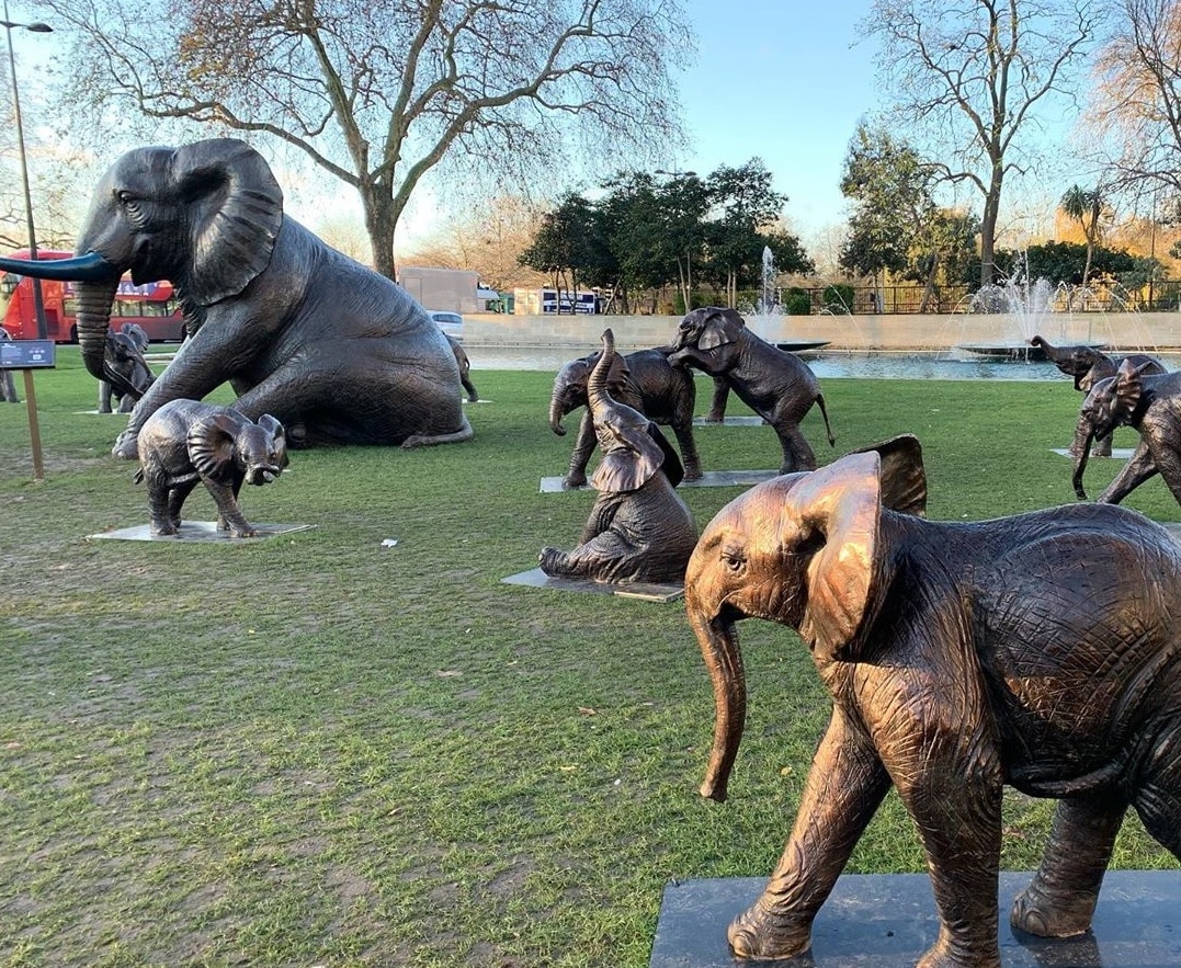 Elephants Have Appeared In Marble Arch, To Raise Awareness For Charity