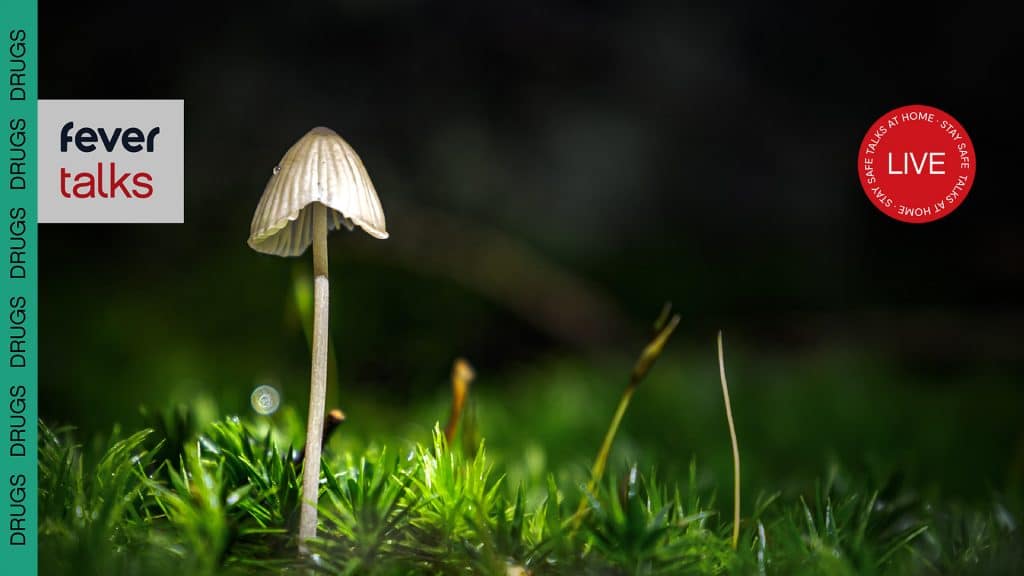 Magic Mushrooms Talk Can Mushrooms Be Used To Fight Depression?