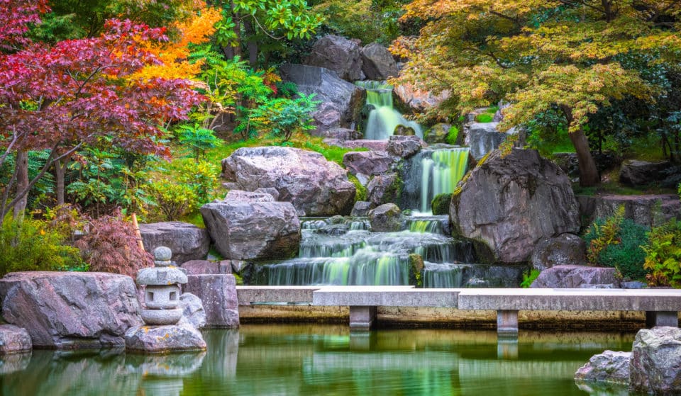 Tu savais qu’il y a un jardin japonais paisible caché dans un parc de l’ouest de Londres ? Et tu pourras même apercevoir des paons en liberté quand tu t’y rendras