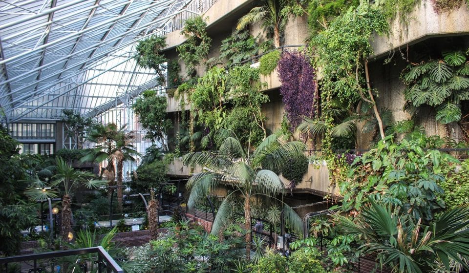 Il Conservatorio del Barbican riapre questo fine settimana e rimane aperto fino a tardi per le passeggiate serali ogni venerdì