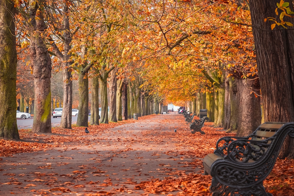 Autumn Dates In London 18 Cosy And Romantic Autumn Date Ideas