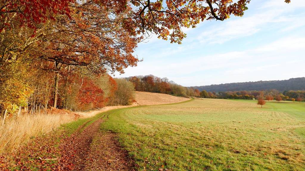 Een kronkelend voetpad in de Chiltern Hills bij Aldbury, in Hertfordshire, Engeland, op een zonnige herfstdag.