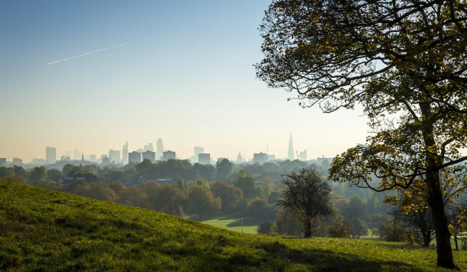 London Has Officially Been Crowned The Greenest Area In The Whole Of The UK