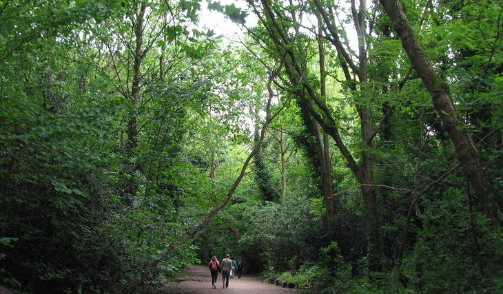 This stunning hidden nature walk in North London follows an abandoned railway line – the 2.5-mile green trail connects Finsbury Park to Alexandra Palace
