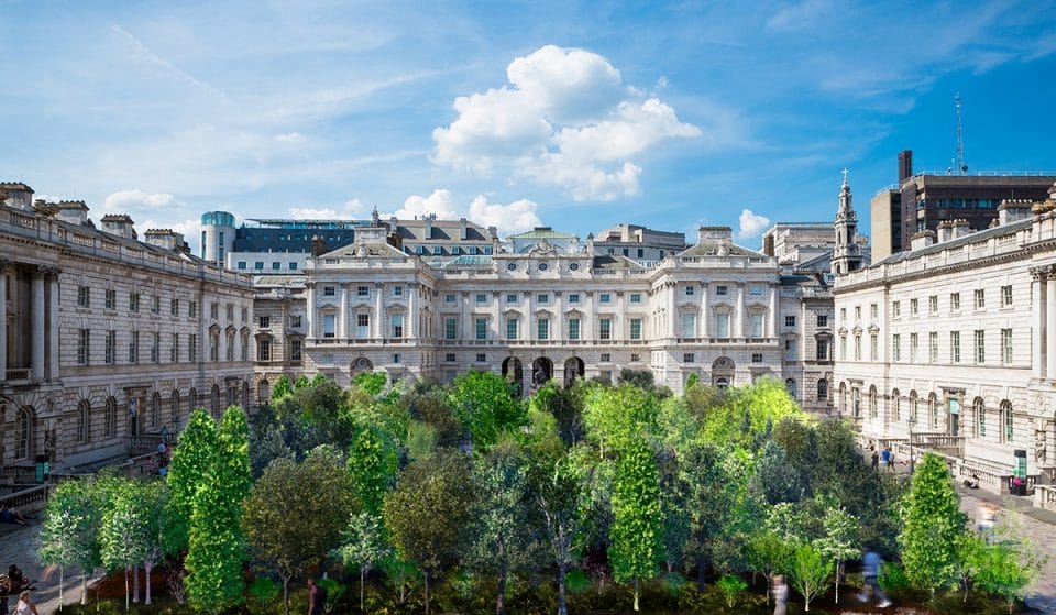A Forest Of 400 Trees Has Sprung Up At Somerset House