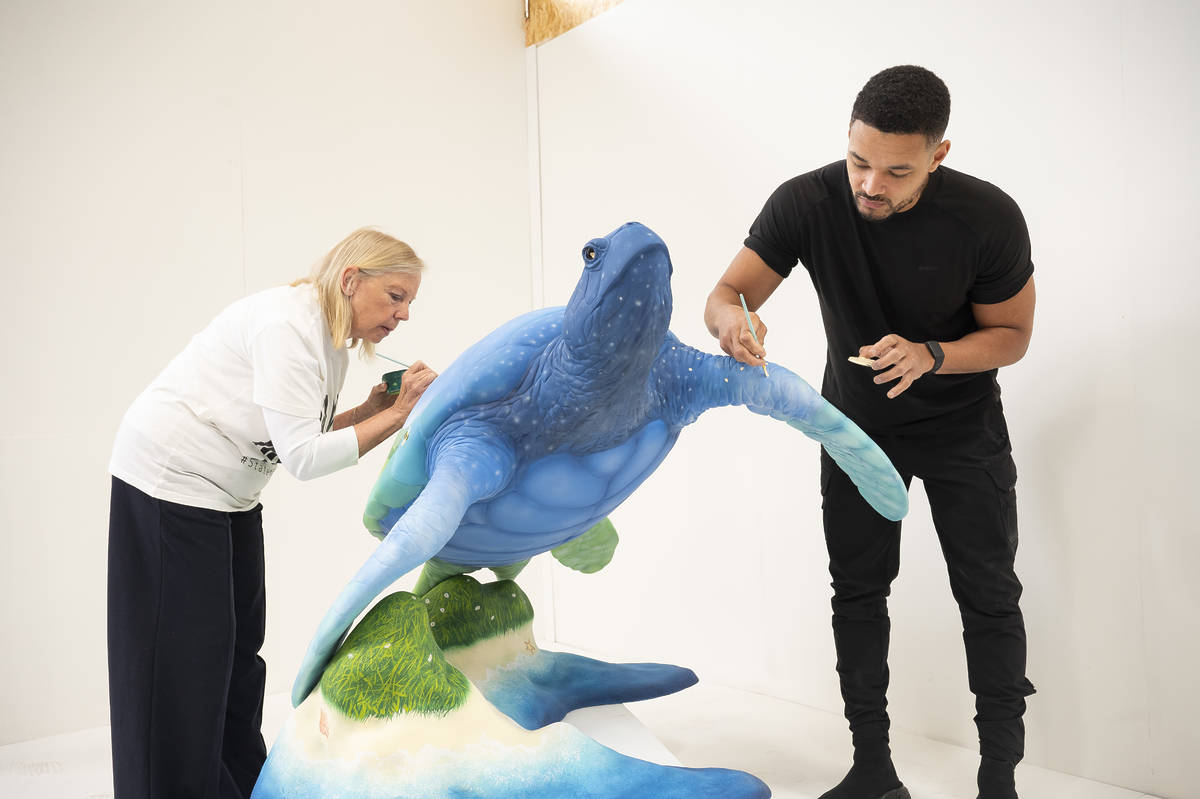Steven Bartlett and Deborah Meaden in a studio adding finishing touches with paint to a blue and green, beach-themed turtle sculpture