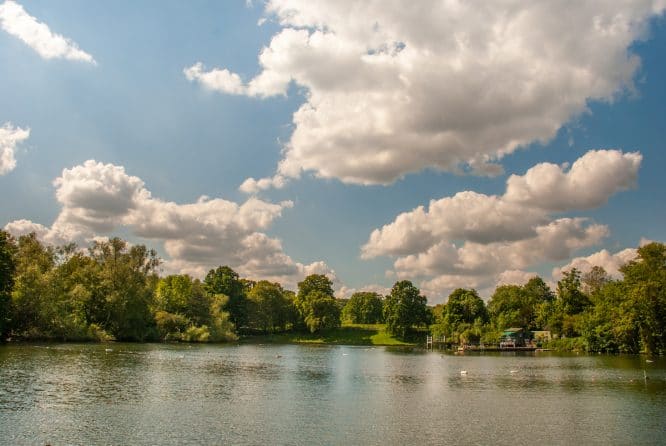 Beautiful scenery and a natural pond at Hampstead Heath