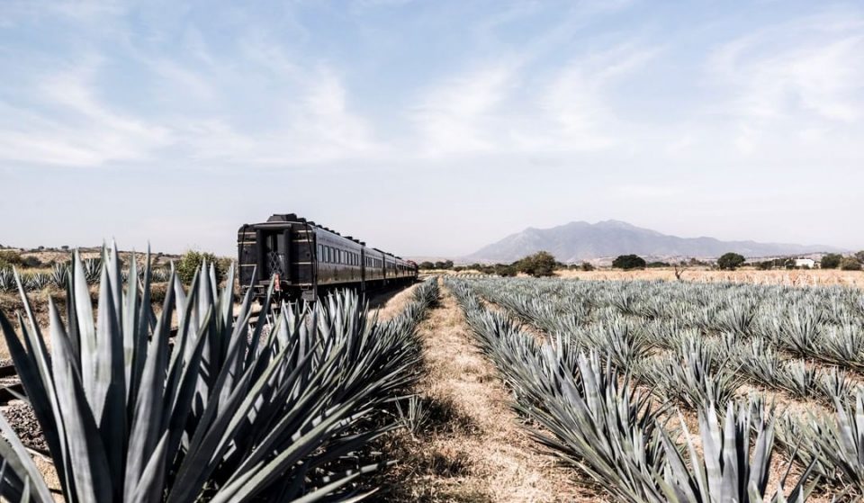 Hop On An All-You-Can-Drink Tequila Train And Explore The Mexican Countryside