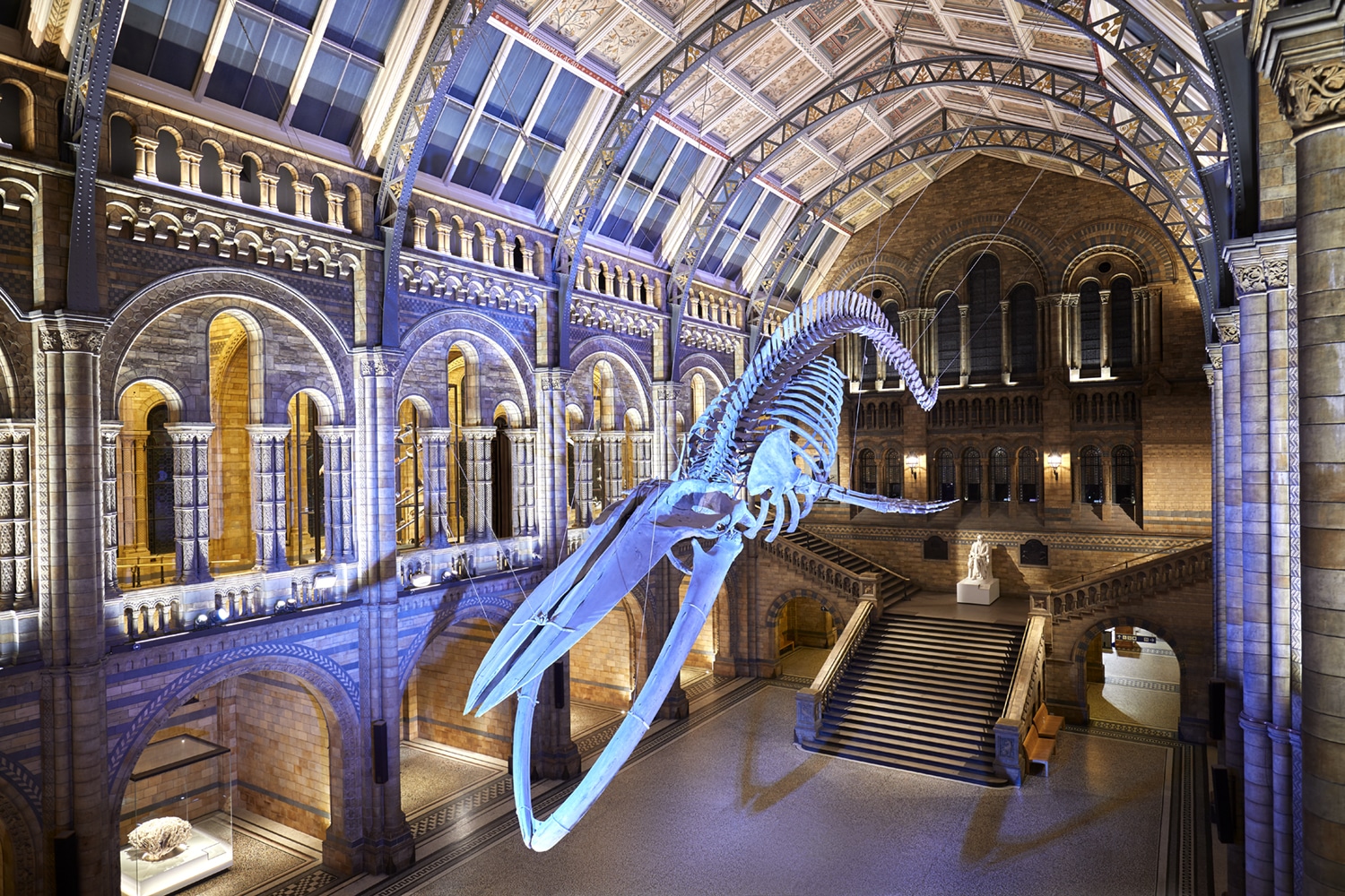 Natural History Museum London Entrance Natural History Museum London Entrance
