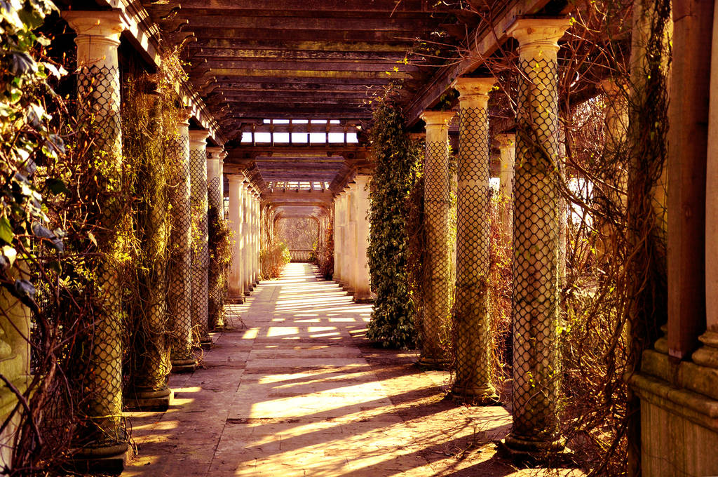 een oranjeachtig uitzicht over een wandelpad in de pergola van Hampstead