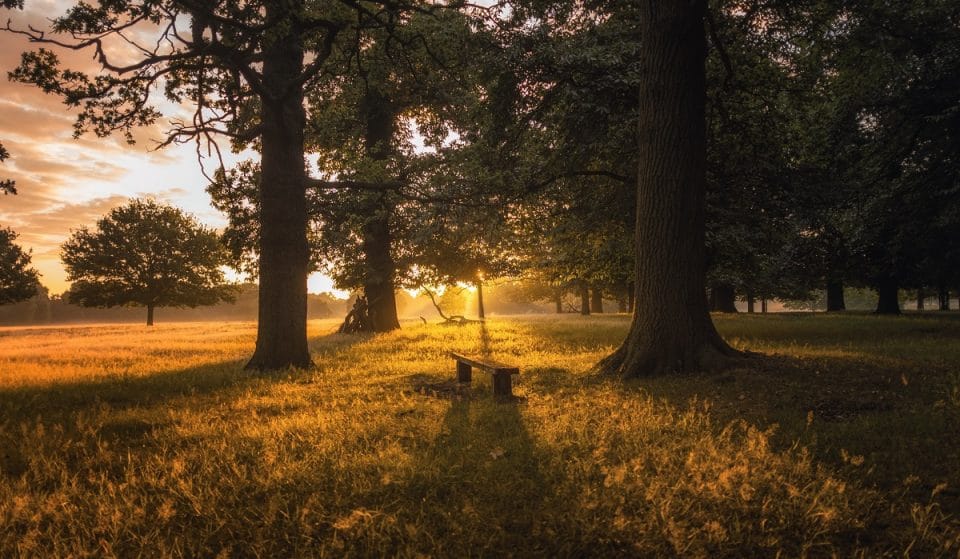 Zwei wunderschöne Londoner Parks gehören zu den besten Orten in Großbritannien, um diesen Herbst spazieren zu gehen