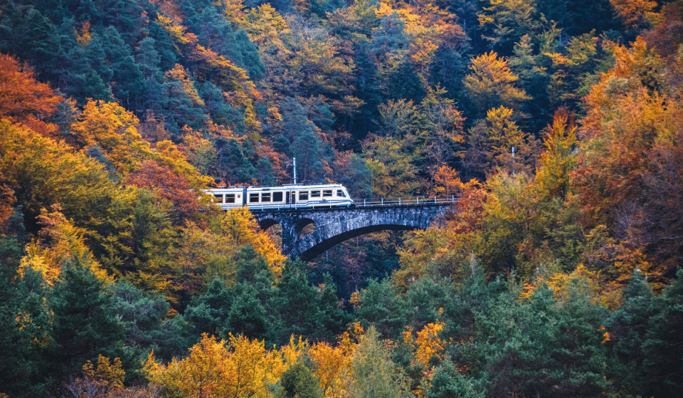This European ‘Foliage Train’ Is A Picture-Perfect Autumn Escape