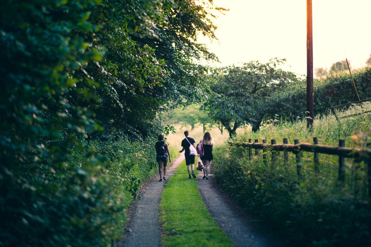Best Country Walks This Summer 10 Which Are Close To London